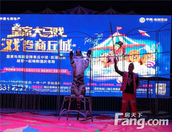 7天21场！万人狂欢的皇家大马戏精彩落幕！