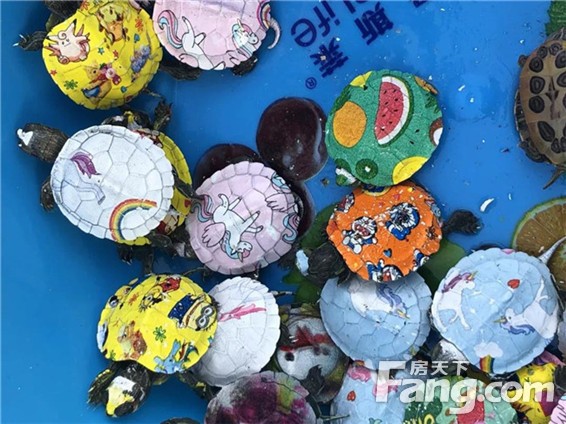 重磅来袭！重返侏罗纪！超时空巨型恐龙展火爆来袭！！！