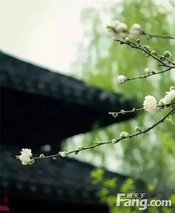 崇文院 | 一角飞檐，一片瓦当，看尽中式屋檐下的东方美学